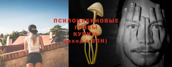 спайс Алексеевка