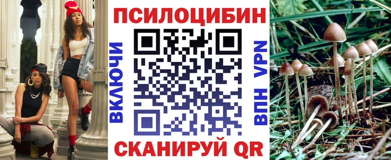 Псилоцибиновые грибы прущие грибы  Дюртюли 
