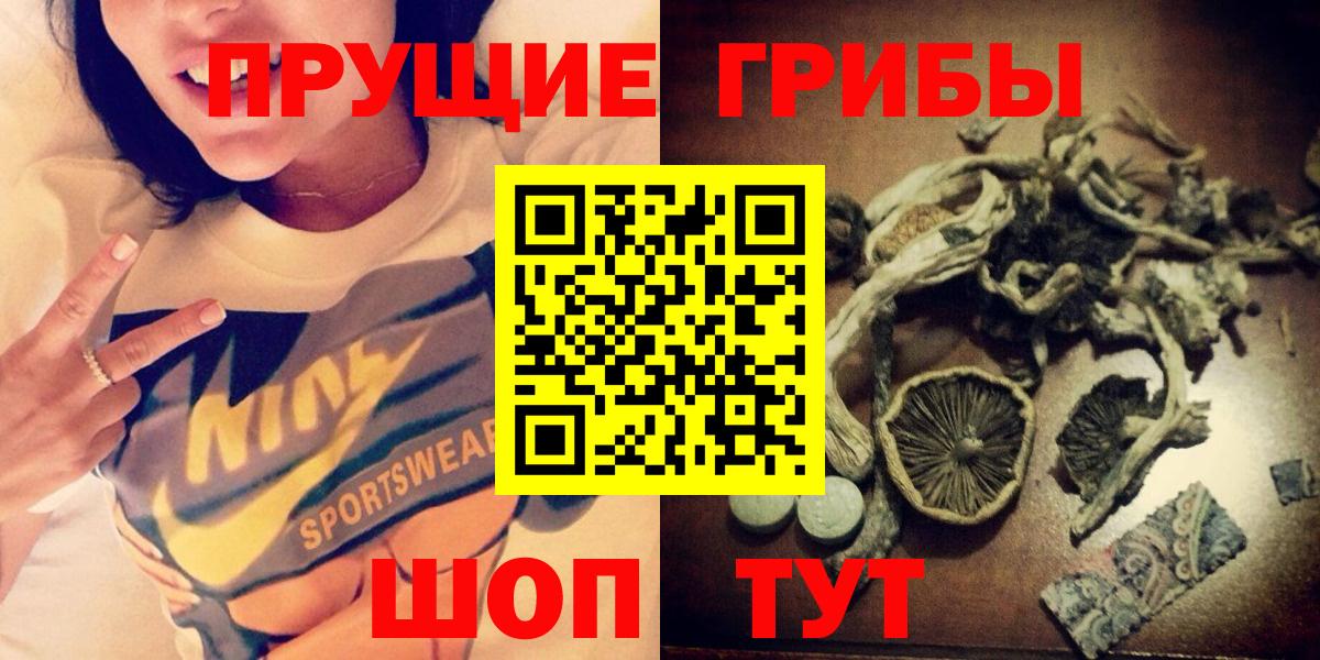 Дюртюли  где найти   Вход с VPN  Псилоцибиновые грибы прущие грибы 